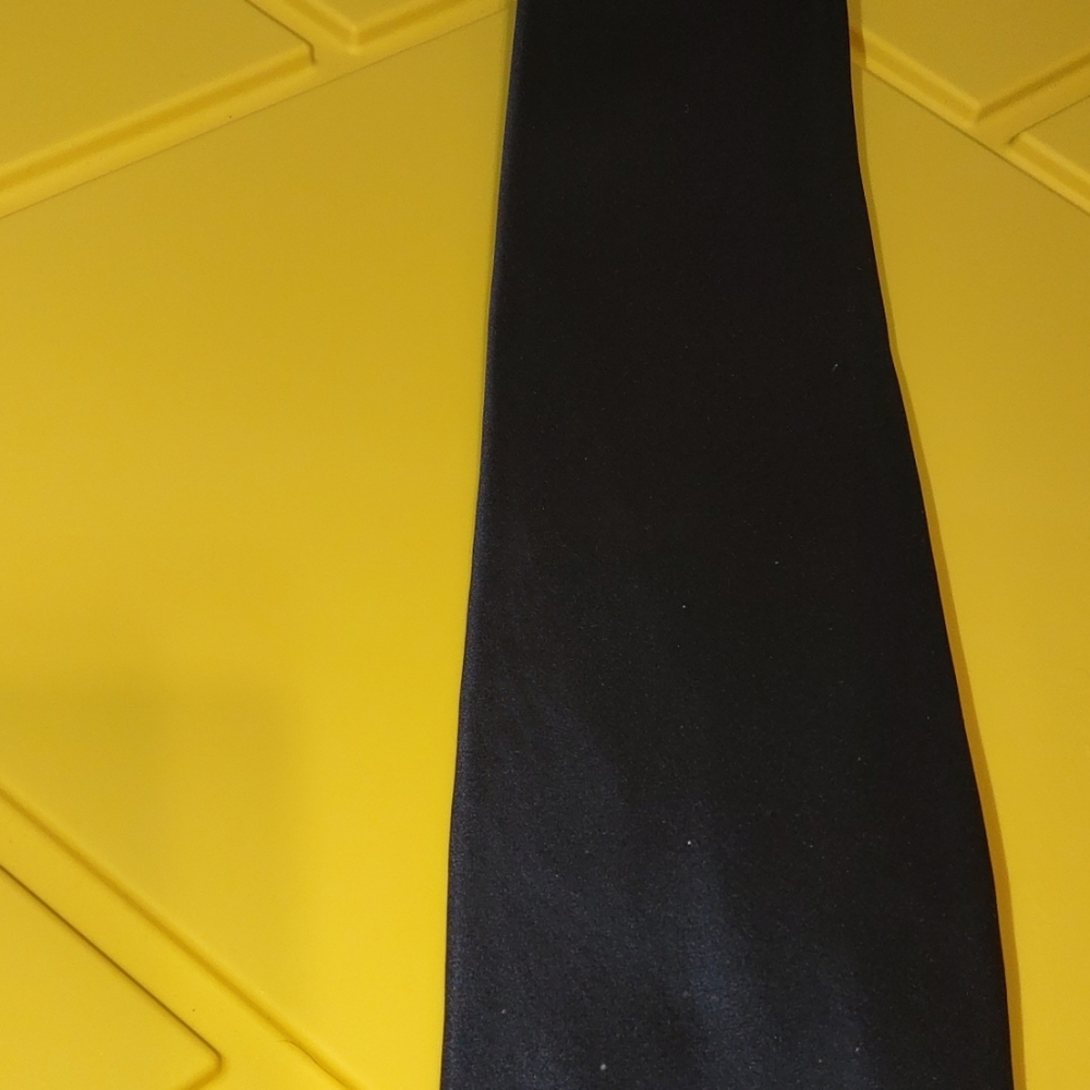 REGIS TIES - Picture 6 of 8